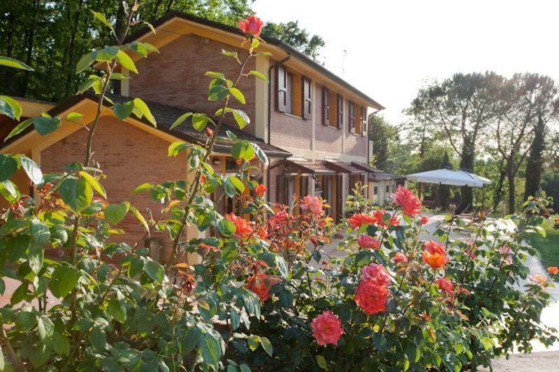 Agriturismo Di Paterno 萨尔扎纳 外观 照片
